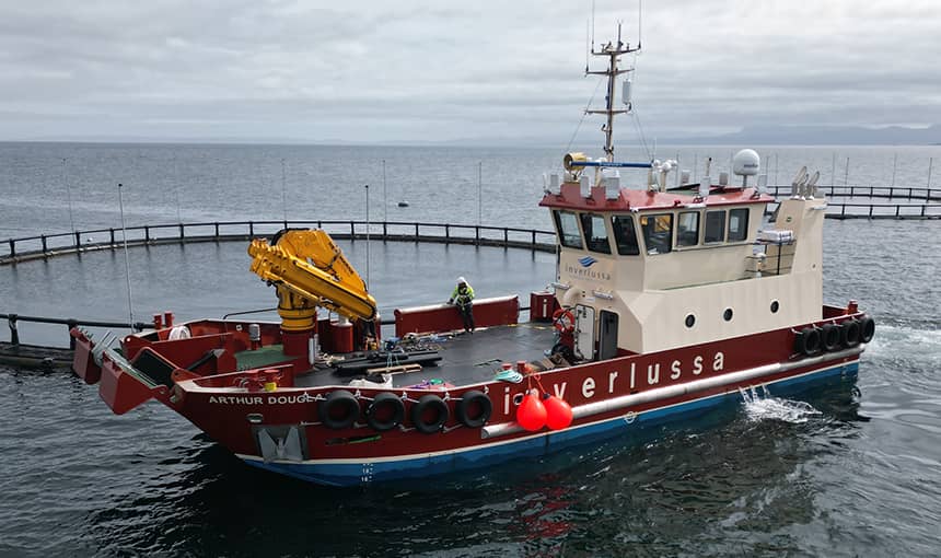 Crane working over vessels bow